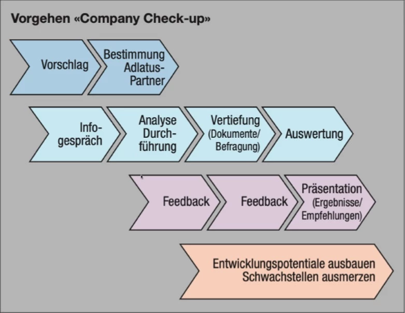 Vorgehen Cpmany Check-up Vorgehen Cpmany Check-up